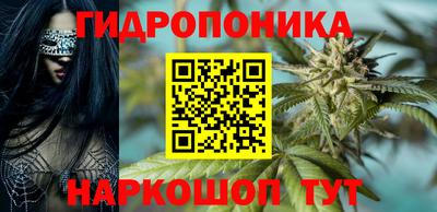 гашик Бузулук
