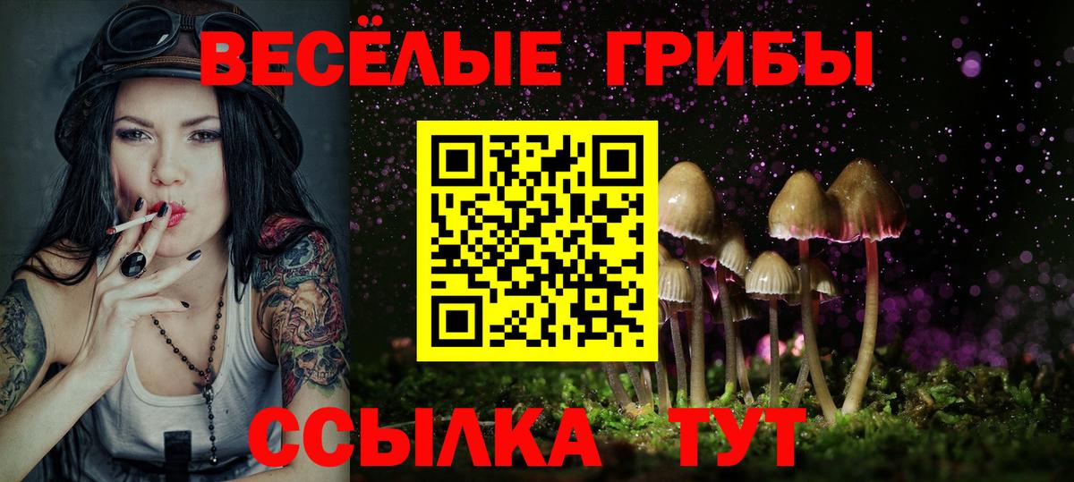 Псилоцибиновые грибы прущие грибы Черемхово