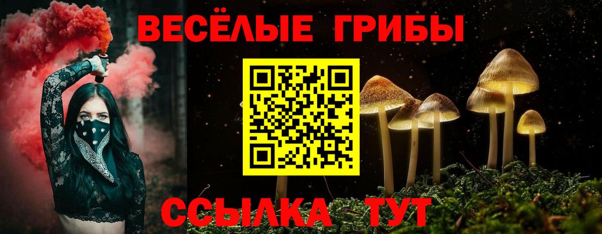 Галлюциногенные грибы прущие грибы  Псилоцибиновые грибы Psilocybine cubensis  Вход с VPN  Черемхово 